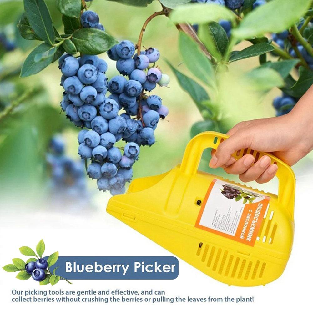 Gardening Tools Must Haves - Ferramenta de Colheita de Mirtilos com
