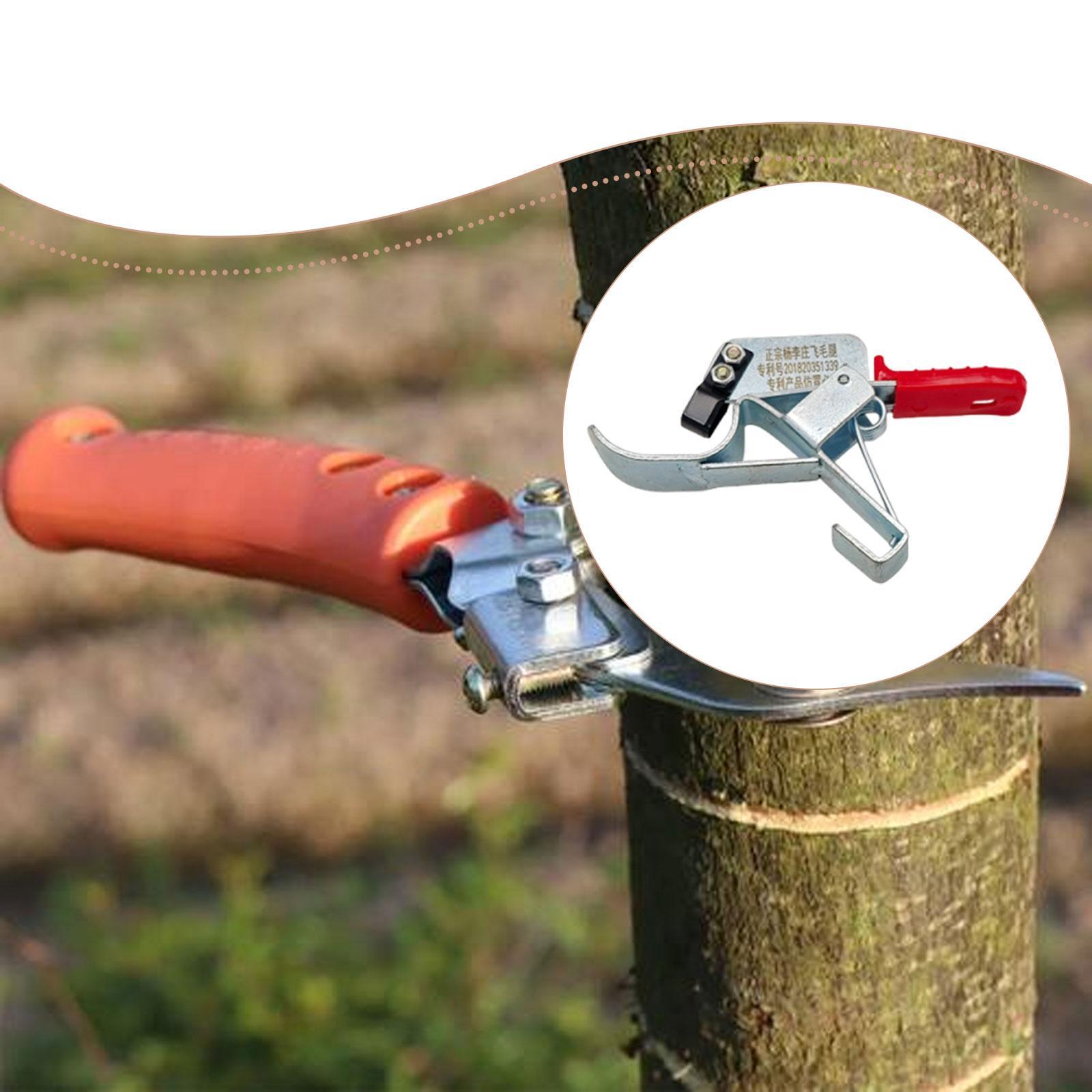 Gardening Tools Essential - Ferramenta de corte para árvores frutíferas,
