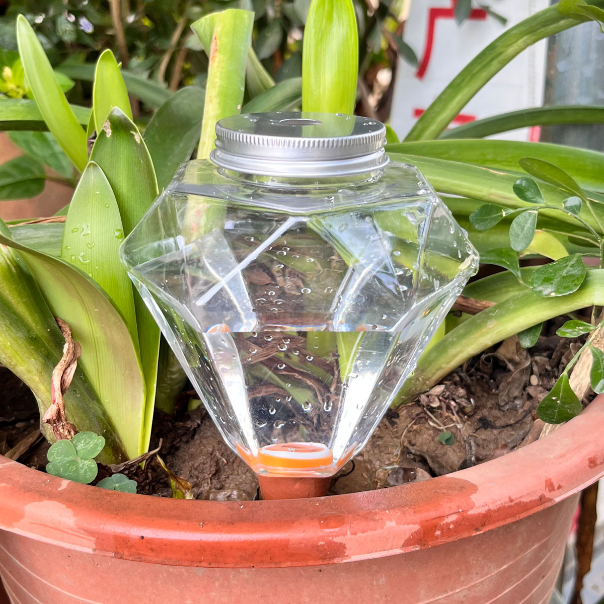 Automatic Plant Waterer - 1 unidade de Gotejador Automático de
