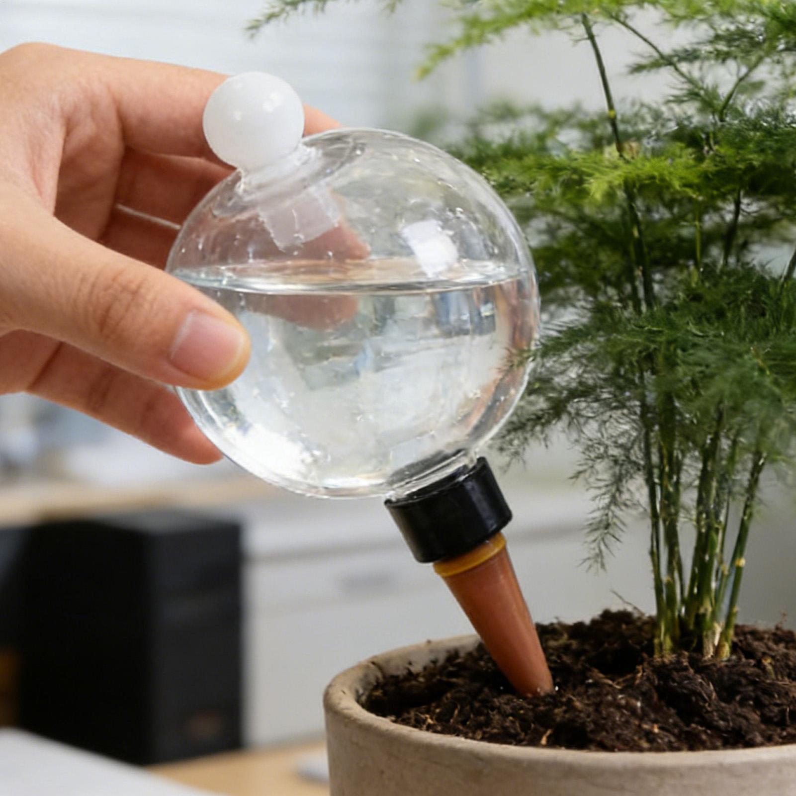 Bolas de Rega Automática para  - Automatic Plant Waterer avaliação e preço