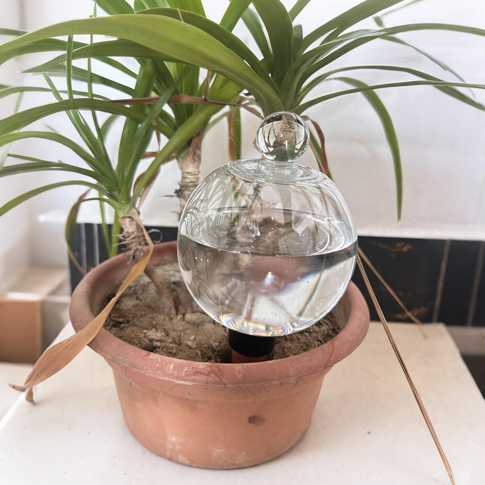 Bolas de Rega Automática para  - Automatic Plant Waterer avaliação e preço