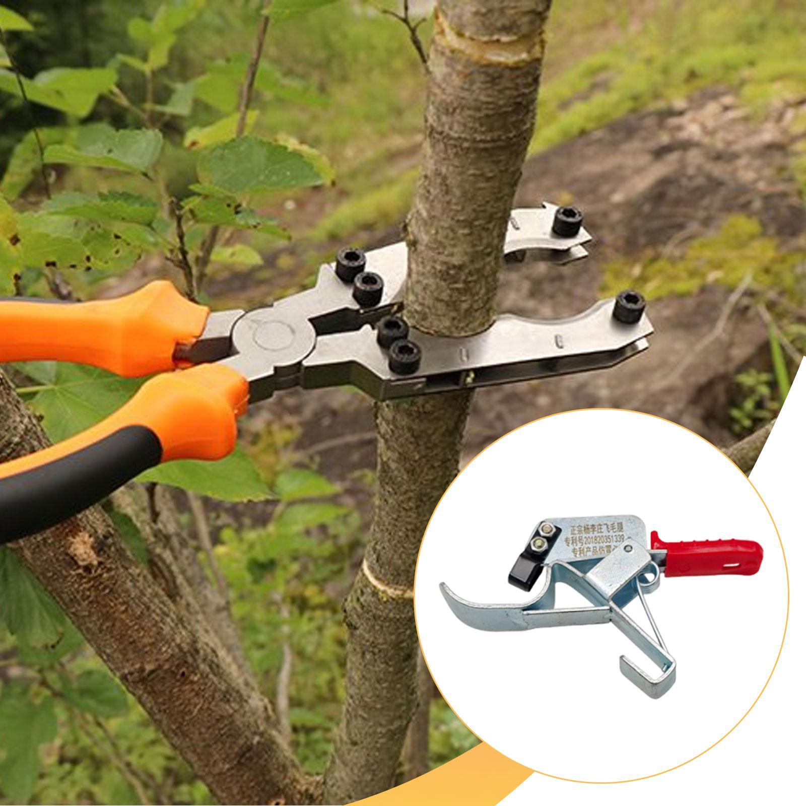 Ferramenta de corte para árvor - Gardening Tools Essential avaliação e preço