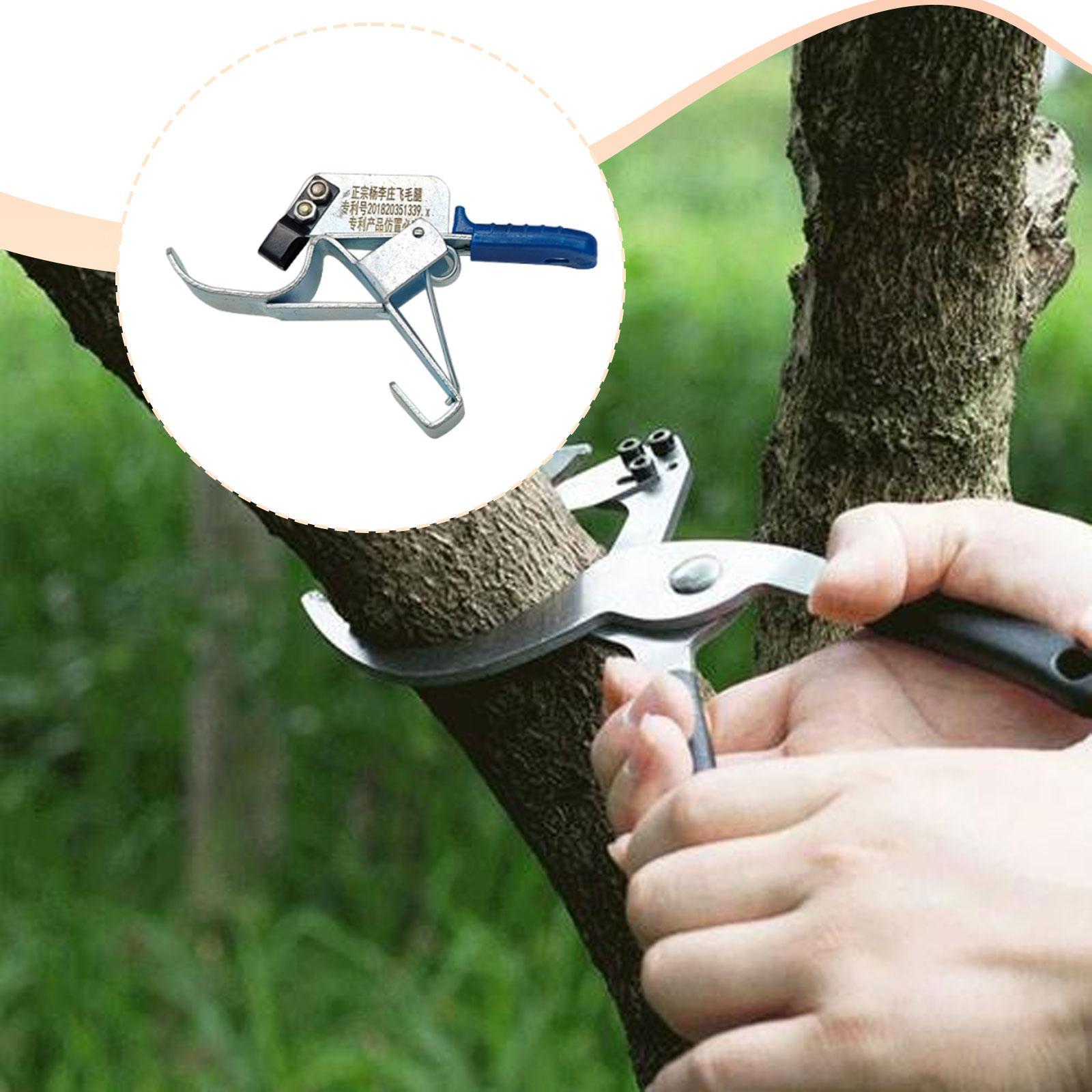 Ferramenta de corte para árvor - Gardening Tools Essential avaliação e preço