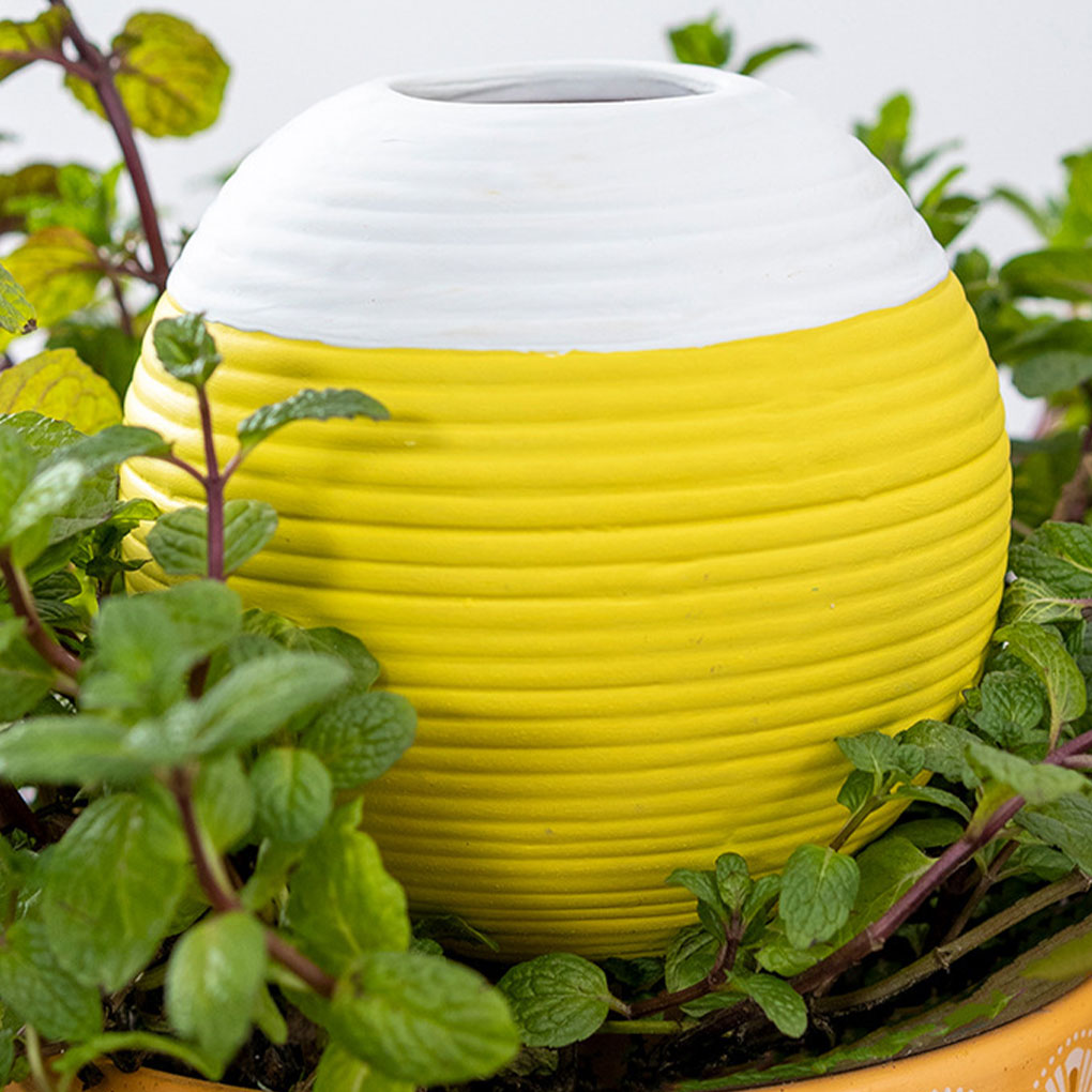 Ferramenta Automática de Irrig - Gardening Tools Must Haves avaliação e preço