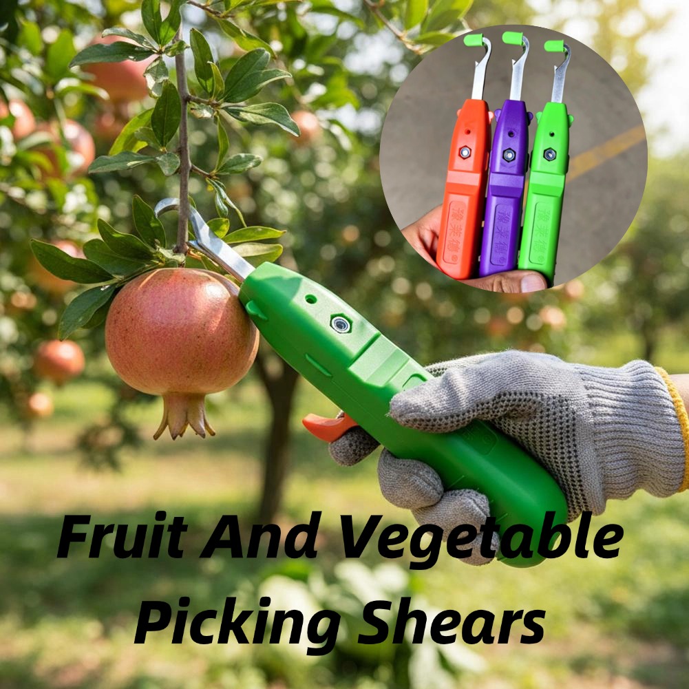 Tesoura de Colheita de Frutas  - Gardening Tools Vegetables avaliação e preço