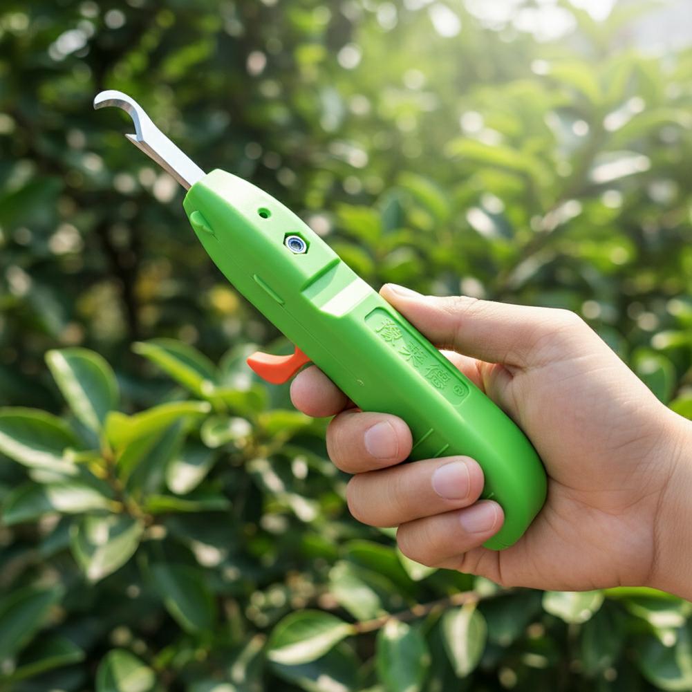 Tesoura de Colheita de Frutas  - Gardening Tools Vegetables avaliação e preço