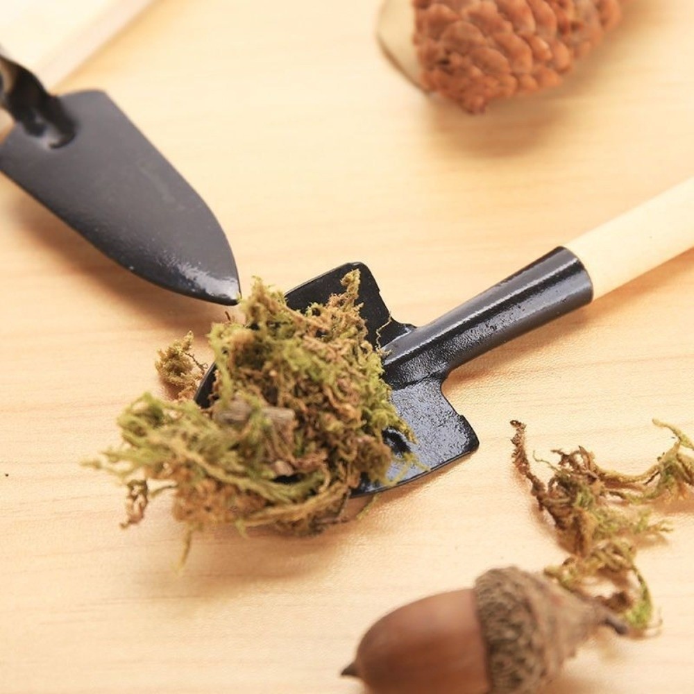 Conjunto de Ferramentas de Jar - Spade Digging Fork avaliação e preço
