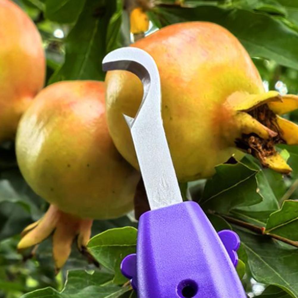 Ferramenta Multifuncional Port - Gardening Tools Vegetables avaliação e preço