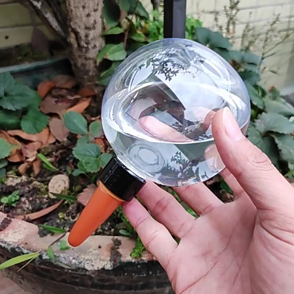 Globos de Irrigação Automática - Self-Watering Planter avaliação e preço
